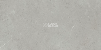 Roots 0.55 камень (986*493) TRIANA 46922CD фото 2 | FLOORDEALER