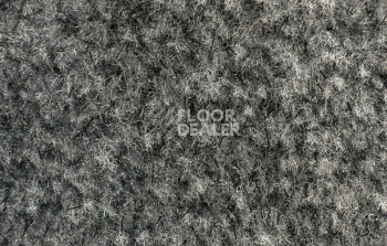 Forbo Coral Classic 4751 Silver Grey фото 2 | FLOORDEALER