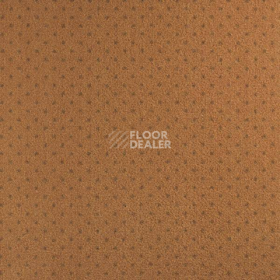 Ковролин Les Best Design II - Amiral Amiral 440 фото 1 | FLOORDEALER