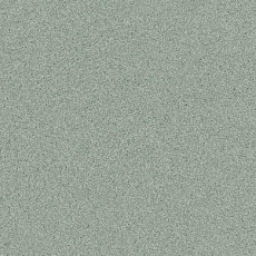 Линолеум Tarkett Primo Plus M Primo 311 фото 1 | FLOORDEALER