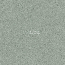 Линолеум Tarkett Primo Plus M Primo 311 фото 1 | FLOORDEALER