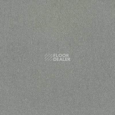 Ковровая плитка Interface Palette 2000 Quartz фото 1 | FLOORDEALER