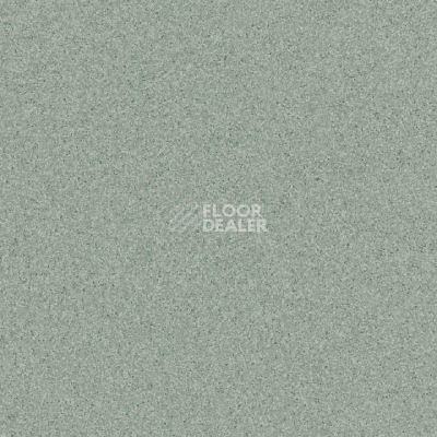 Линолеум Tarkett Primo Plus M Primo 311 фото 1 | FLOORDEALER