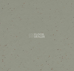 Линолеум Forbo Marmoleum Decibel on Order 358835 eucalyptus фото 1 | FLOORDEALER
