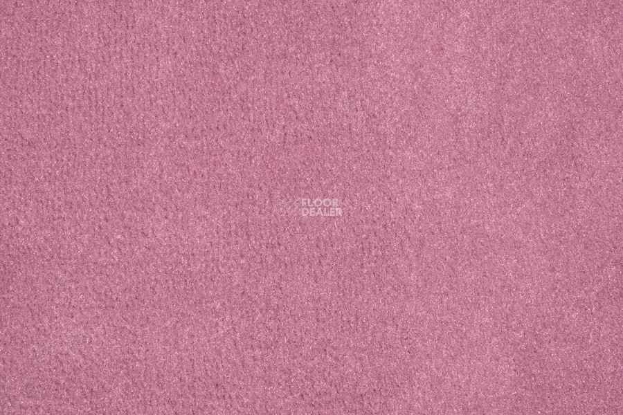 Vorwerk Passion 1000/Modena Vorwerk 1h91 фото 2 | FLOORDEALER