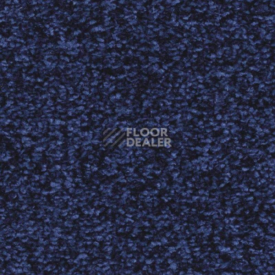 Ковролин Balsan Ultrasoft 180 фото 1 | FLOORDEALER