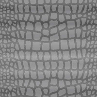 Ковролин Big Carus Sunrise 009-25898 фото 1 | FLOORDEALER