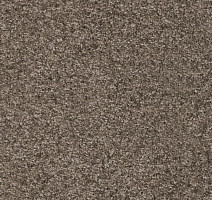 Ковролин AW Masquerade Porzia 97 фото 1 | FLOORDEALER