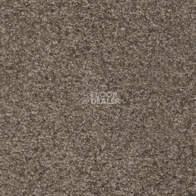 Ковролин AW Masquerade Porzia 97 фото 1 | FLOORDEALER