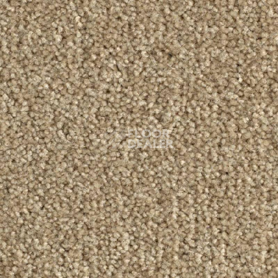 Ковровая плитка Balsan Bolero 640 фото 1 | FLOORDEALER