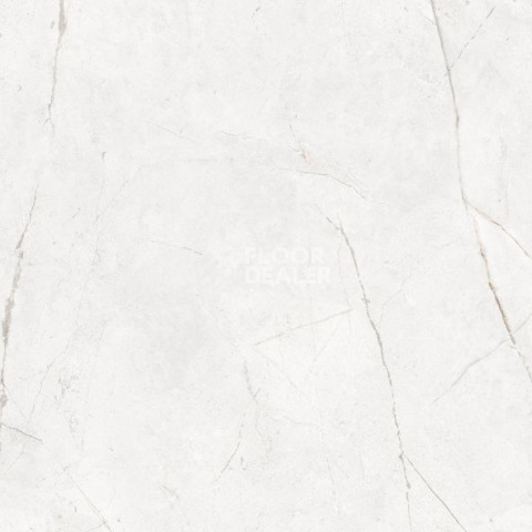 Nolana ( Нолана ) 60 x 60 x10 NL00 фото 4 | FLOORDEALER