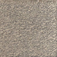 Ковролин Emphatic Beaulieu of America 56544 фото 1 | FLOORDEALER