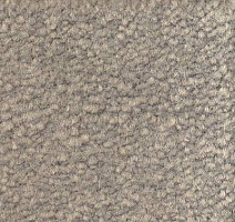 Ковролин Emphatic Beaulieu of America 56544 фото 1 | FLOORDEALER