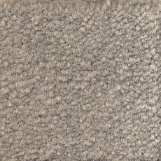 Ковролин Emphatic Beaulieu of America 56544 фото 1 | FLOORDEALER