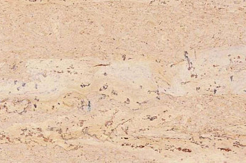 Пробковое покрытие Natural Cork замковое Comprido Creme фото 1 | FLOORDEALER