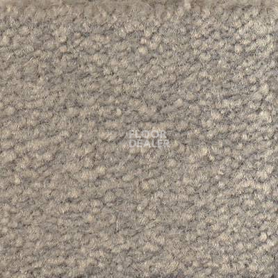 Ковролин Emphatic Beaulieu of America 56544 фото 1 | FLOORDEALER