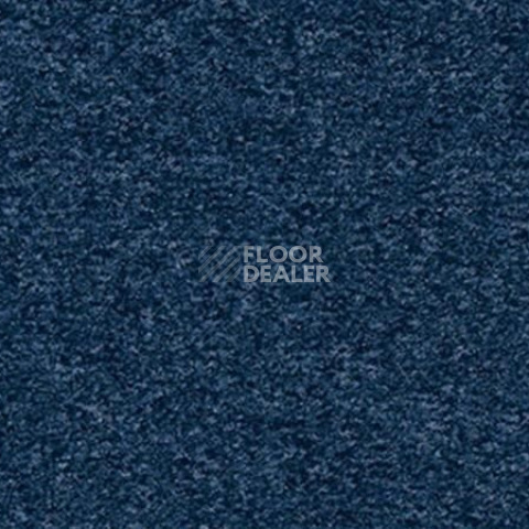 Ковролин Vorwerk Passion 1044 Vorwerk 3p52 фото 1 | FLOORDEALER
