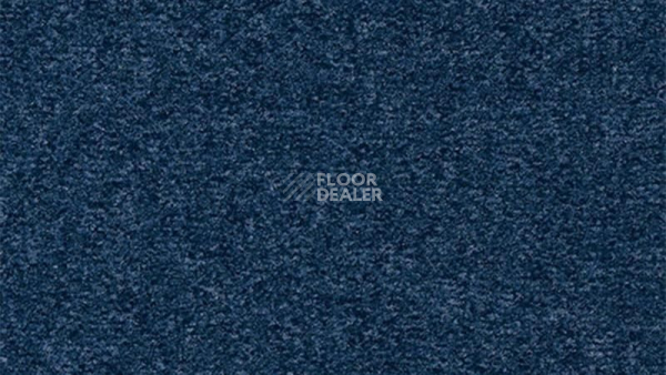 Ковролин Vorwerk Passion 1044 Vorwerk 3p52 фото 1 | FLOORDEALER