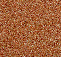 Линолеум Lg Trendy TD12406 фото 1 | FLOORDEALER