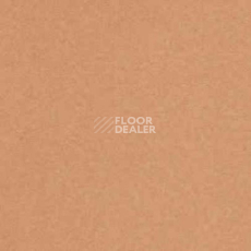 Ковролин Balta ITC Rossini 30 фото 1 | FLOORDEALER