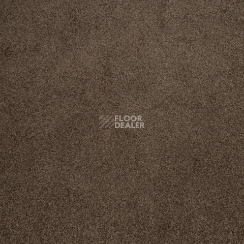 Haima Noble 67 фото 6 | FLOORDEALER