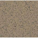 Линолеум Apoluza SportFloor PVC Emery Safety BXSF20-7202  | FLOORDEALER