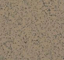 Линолеум Apoluza SportFloor PVC Emery Safety BXSF20-7202 фото 1 | FLOORDEALER