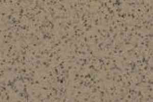 Линолеум Apoluza SportFloor PVC Emery Safety BXSF20-7202 фото  | FLOORDEALER