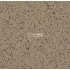 Линолеум Apoluza SportFloor PVC Emery Safety BXSF20-7202 фото 1 | FLOORDEALER