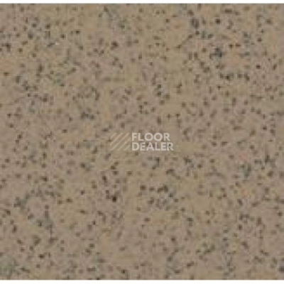 Линолеум Apoluza SportFloor PVC Emery Safety BXSF20-7202 фото 1 | FLOORDEALER