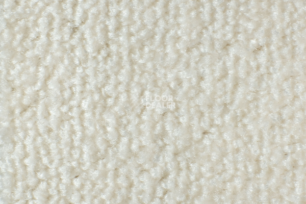 AW Masquerade Messalina 33 фото 3 | FLOORDEALER