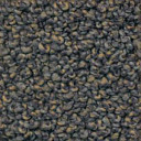 Ковролин Dura Oriental 821  | FLOORDEALER