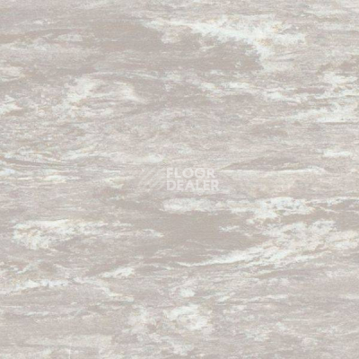 Линолеум Polyflor Standart XL 9010 фото 1 | FLOORDEALER
