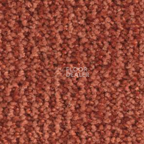 Ковролин Balsan Delice Delice 560 фото 1 | FLOORDEALER