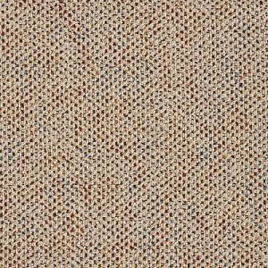 Ковролин Big Burlington 330 фото  | FLOORDEALER