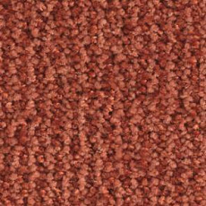 Ковролин Balsan Delice Delice 560 фото 1 | FLOORDEALER