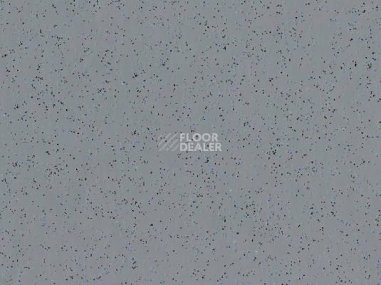 Линолеум Polyflor Polysafe Ecomax 4632 Anise Grey фото 1 | FLOORDEALER