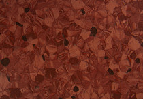 Tarkett Primo Plus 306 фото 2 | FLOORDEALER