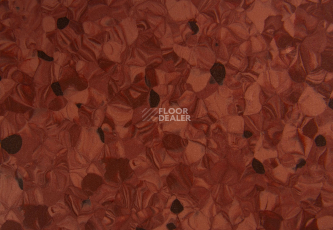 Tarkett Primo Plus 306 фото 2 | FLOORDEALER