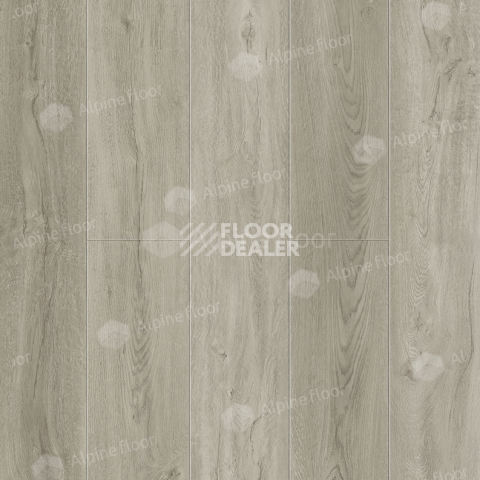 Кварцвиниловые полы Alpine Floor Solo Plus 4мм Дуб Маэстоса ECO14-901 фото 1 | FLOORDEALER