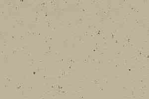 Линолеум Forbo Marmoleum Decibel on Order 359535 pannacotta фото  | FLOORDEALER