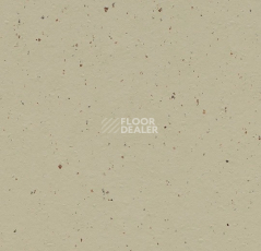 Линолеум Forbo Marmoleum Decibel on Order 359535 pannacotta фото 1 | FLOORDEALER