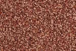 Ковролин Balsan Script 470 фото  | FLOORDEALER