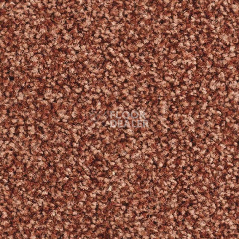 Ковролин Balsan Script 470 фото 1 | FLOORDEALER