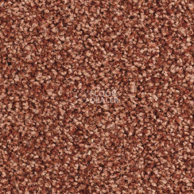 Ковролин Balsan Script 470 фото 1 | FLOORDEALER