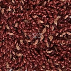 Ковролин Infloor Cottel 140 фото 1 | FLOORDEALER