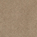 Ковролин Tarkett Dragon Dragon 10431  | FLOORDEALER