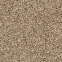 Ковролин Tarkett Dragon Dragon 10431 фото 1 | FLOORDEALER