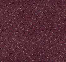 Ковролин Vorwerk Allegro 1d45 фото 1 | FLOORDEALER