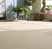 Vorwerk Essential 1008 Vorwerk 8j21 фото 2 | FLOORDEALER